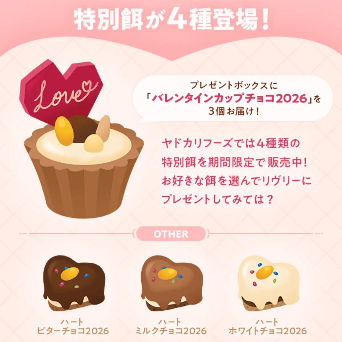 バレンタインの特別餌は4種類