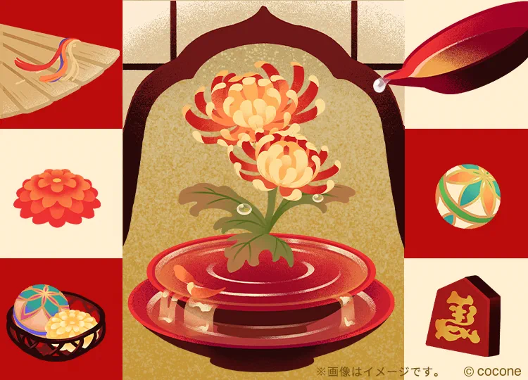 菊水の盃の島 新春彩り和装2026