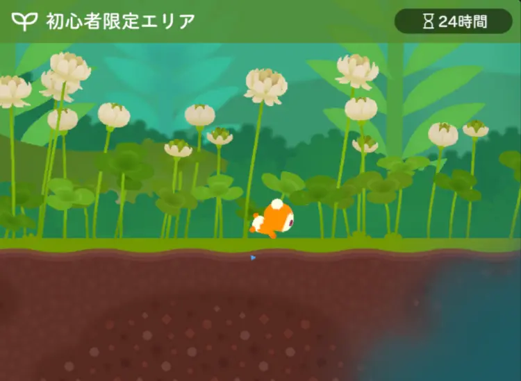 初心者限定エリア