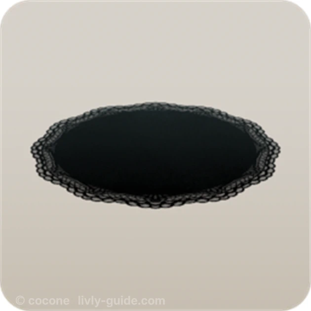 繊細な黒いレースの敷物