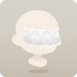 気品漂うフェイスヴェール