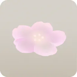 置かれた桜の花