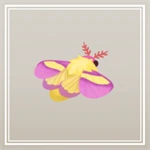 モモイロヤママユ