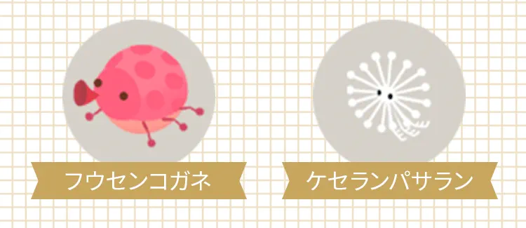 採取できる虫「フウセンコガネ」と「ケセランパサラン」