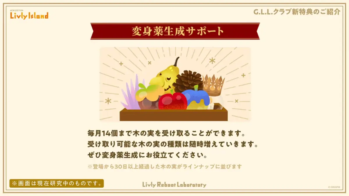 木の実サポート