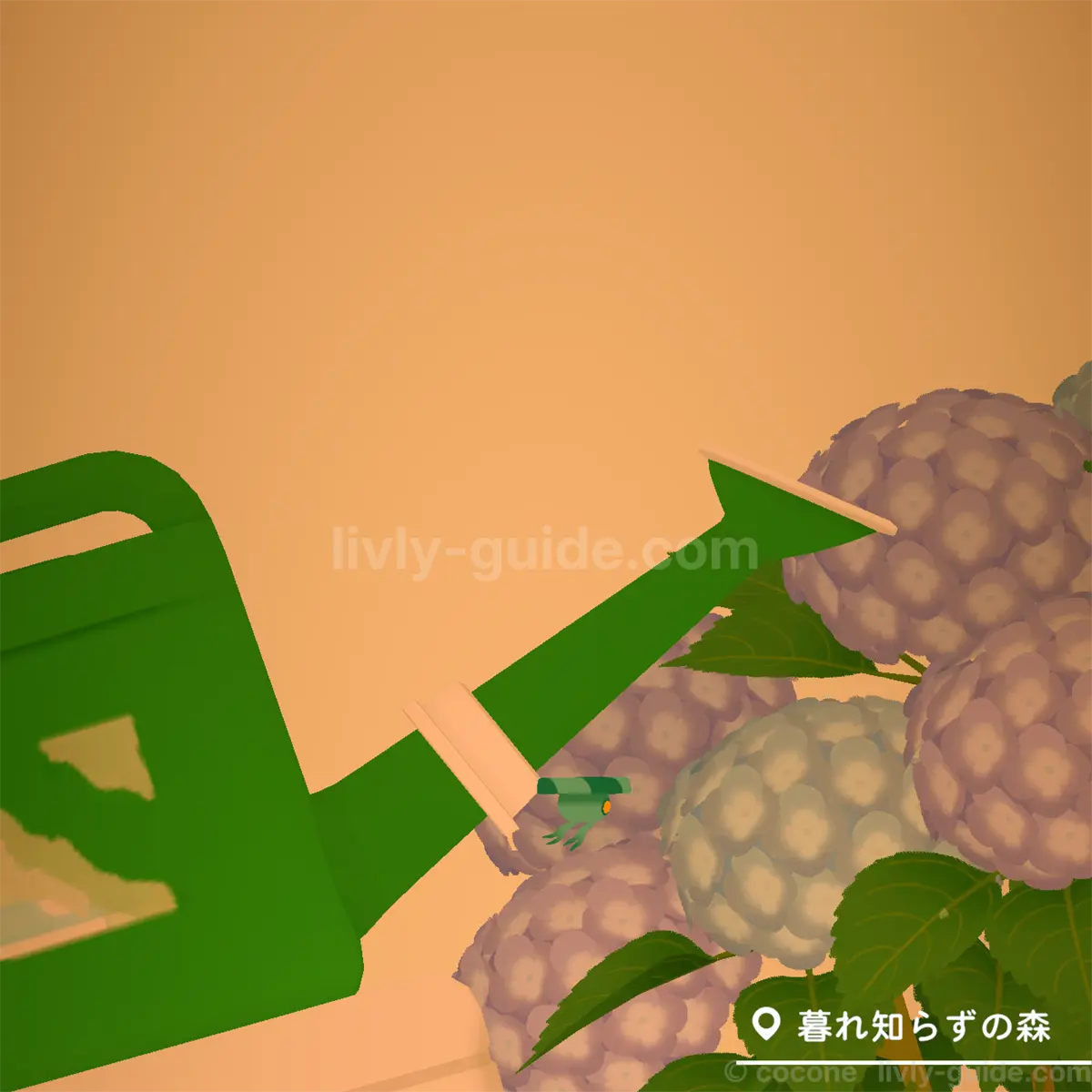 暮れ知らずの森