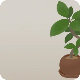 存在感のある観葉植物