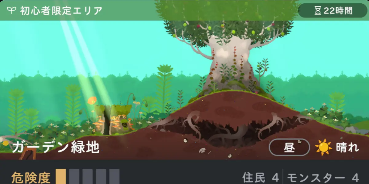 初心者限定エリア