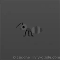 アリ