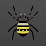 コガネグモ