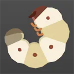 カブトムシの幼虫