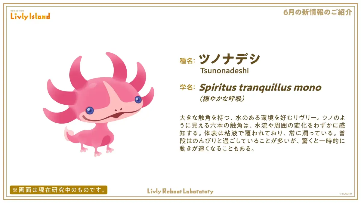 ツノナデシの特徴