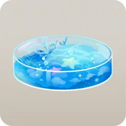 ミニアクアリウム