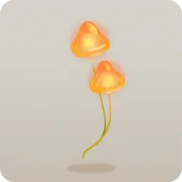 採取したヒカリノキノコ