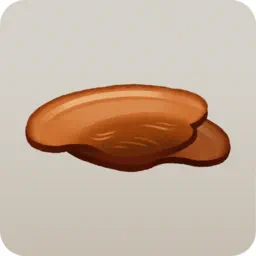 煮込んだチャーシュー