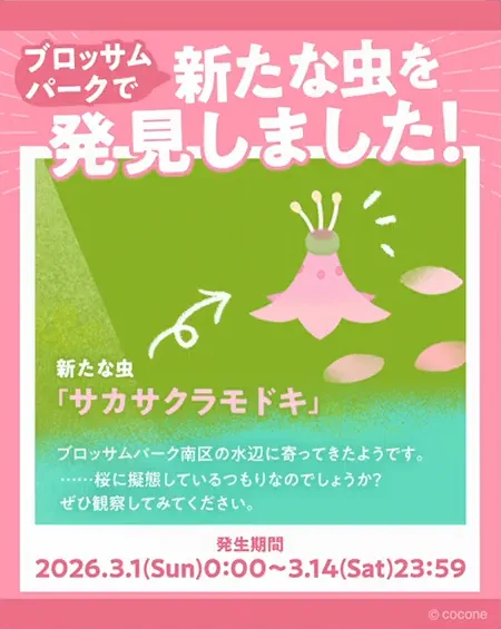 サカサクラモドキ