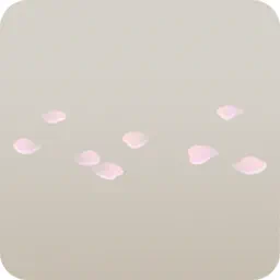 散らばる桜の花びら