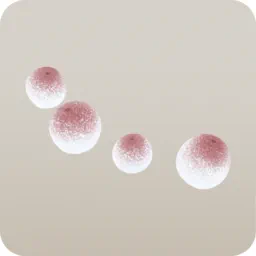 白銀のサルトリイバラ：左