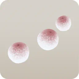 白銀のサルトリイバラ：右