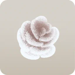 白銀のタマラックコーン