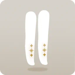 星のシースルータイツ