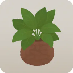 小さな観葉植物