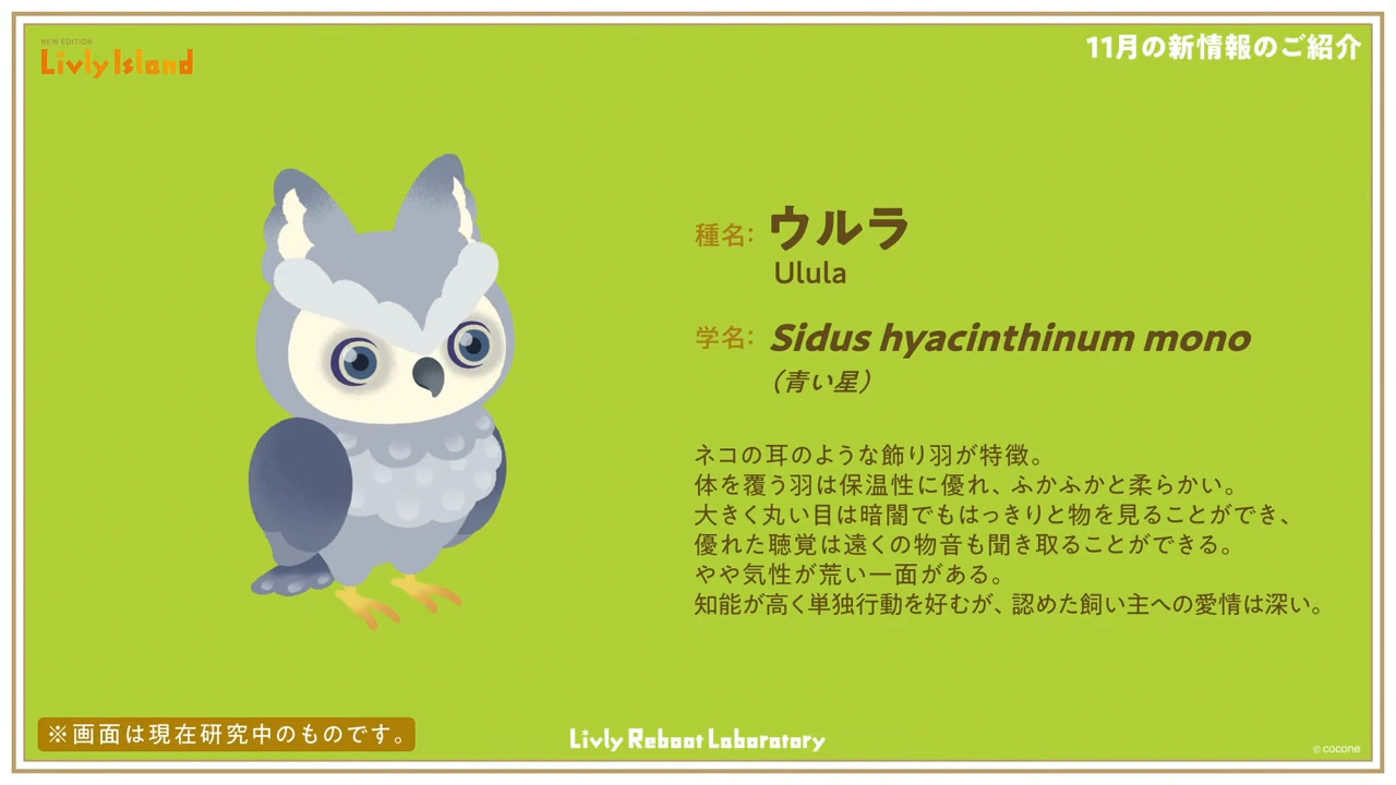 11月の新リヴリーウルラ